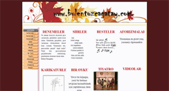 Desktop Screenshot of bulentozcagatay.com